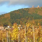 D'hotes Rachelle Schneider 3* Husseren-les-Chateaux