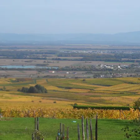 Alojamento de Acomodação e Pequeno-almoço D'hôtes Rachelle Schneider 3*