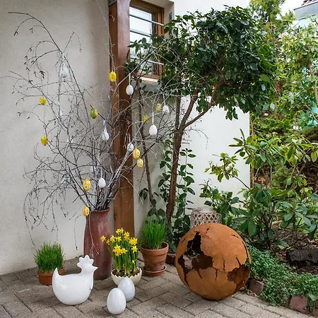 D'hotes Rachelle Schneider Bed & Breakfast Husseren-les-Chateaux