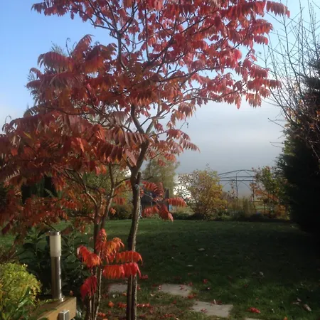 Alojamento de Acomodação e Pequeno-almoço D'hôtes Rachelle Schneider 3*